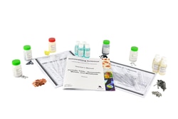 Innovating Science™ Periodic Table - Nonmetals, Metals, And Metalloids